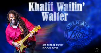 Chicago Blues The Real S..T!
